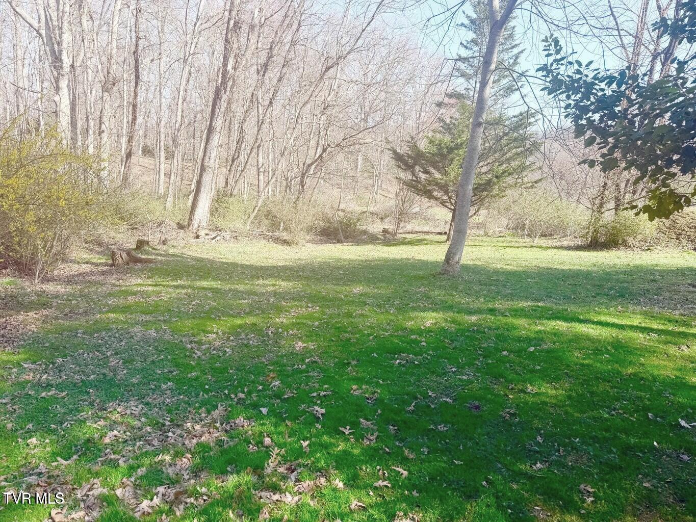 121 Beverly Avenue Southwest Wise, VA 24293 - Photo 33 of 55 yar