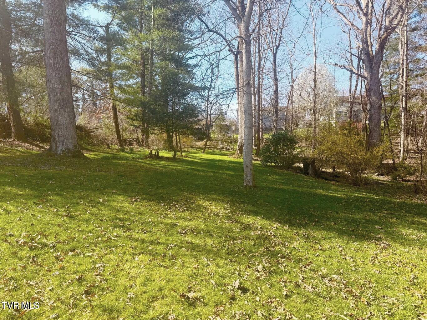 121 Beverly Avenue Southwest Wise, VA 24293 - Photo 34 of 55 yard