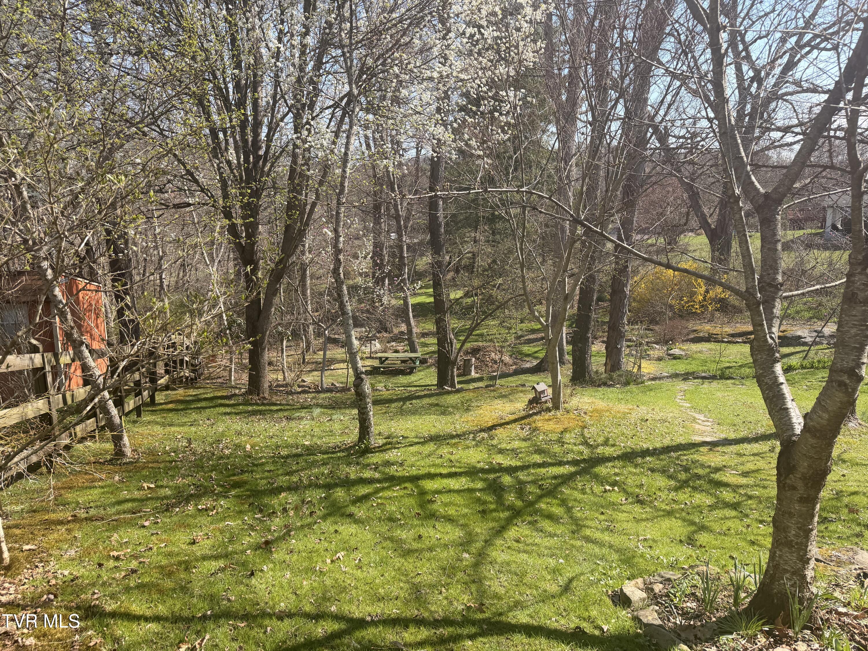 121 Beverly Avenue Southwest Wise, VA 24293 - Photo 35 of 55 yard
