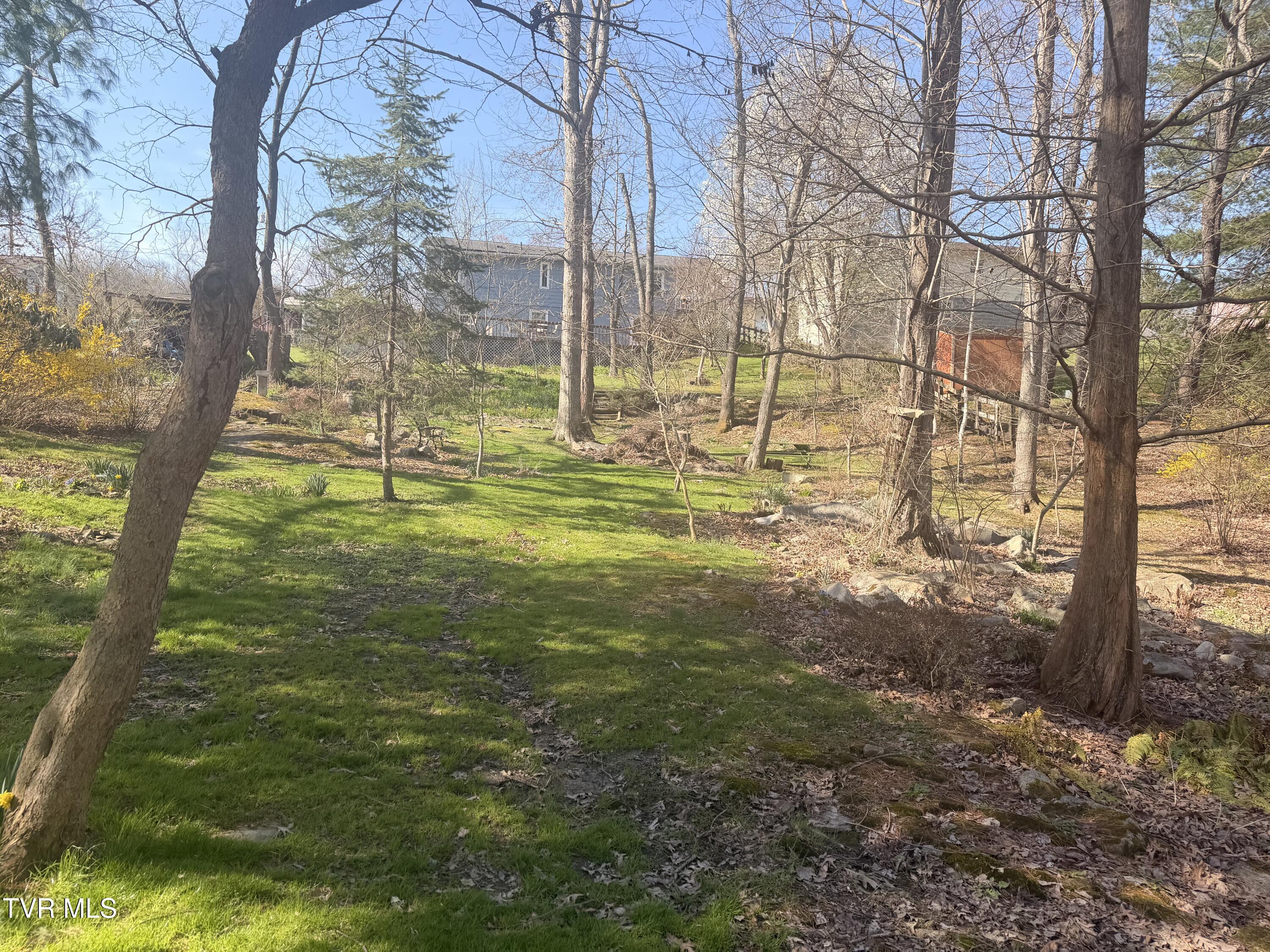 121 Beverly Avenue Southwest Wise, VA 24293 - Photo 37 of 55 property