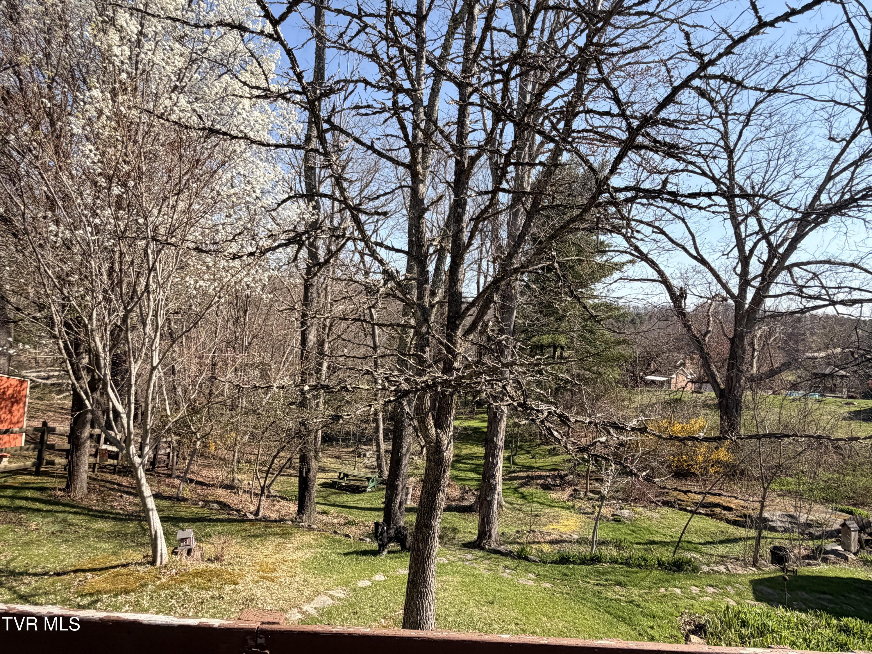 121 Beverly Avenue Southwest Wise, VA 24293 - Photo 39 of 84 IMG_4129