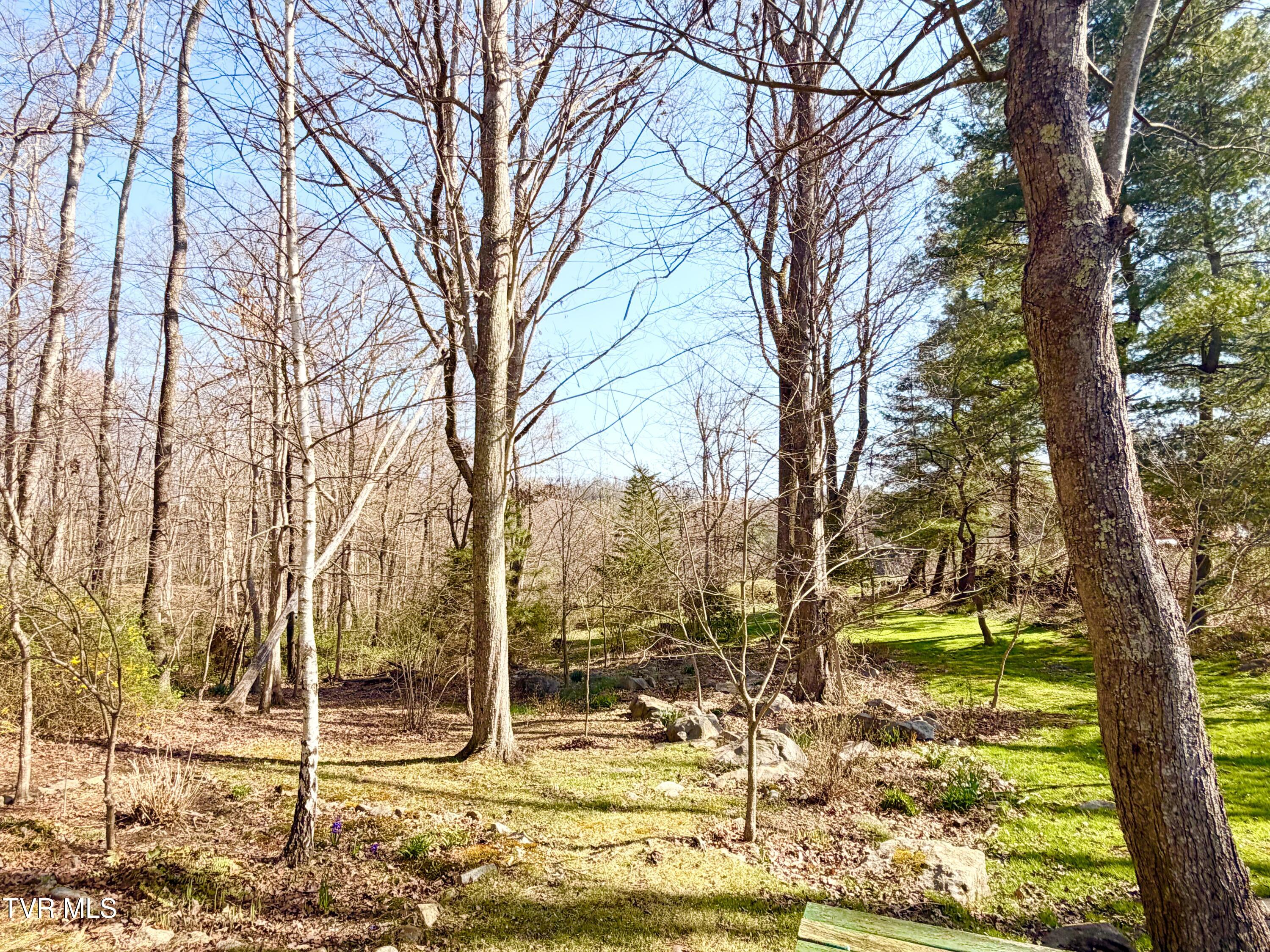 121 Beverly Avenue Southwest Wise, VA 24293 - Photo 40 of 55 property