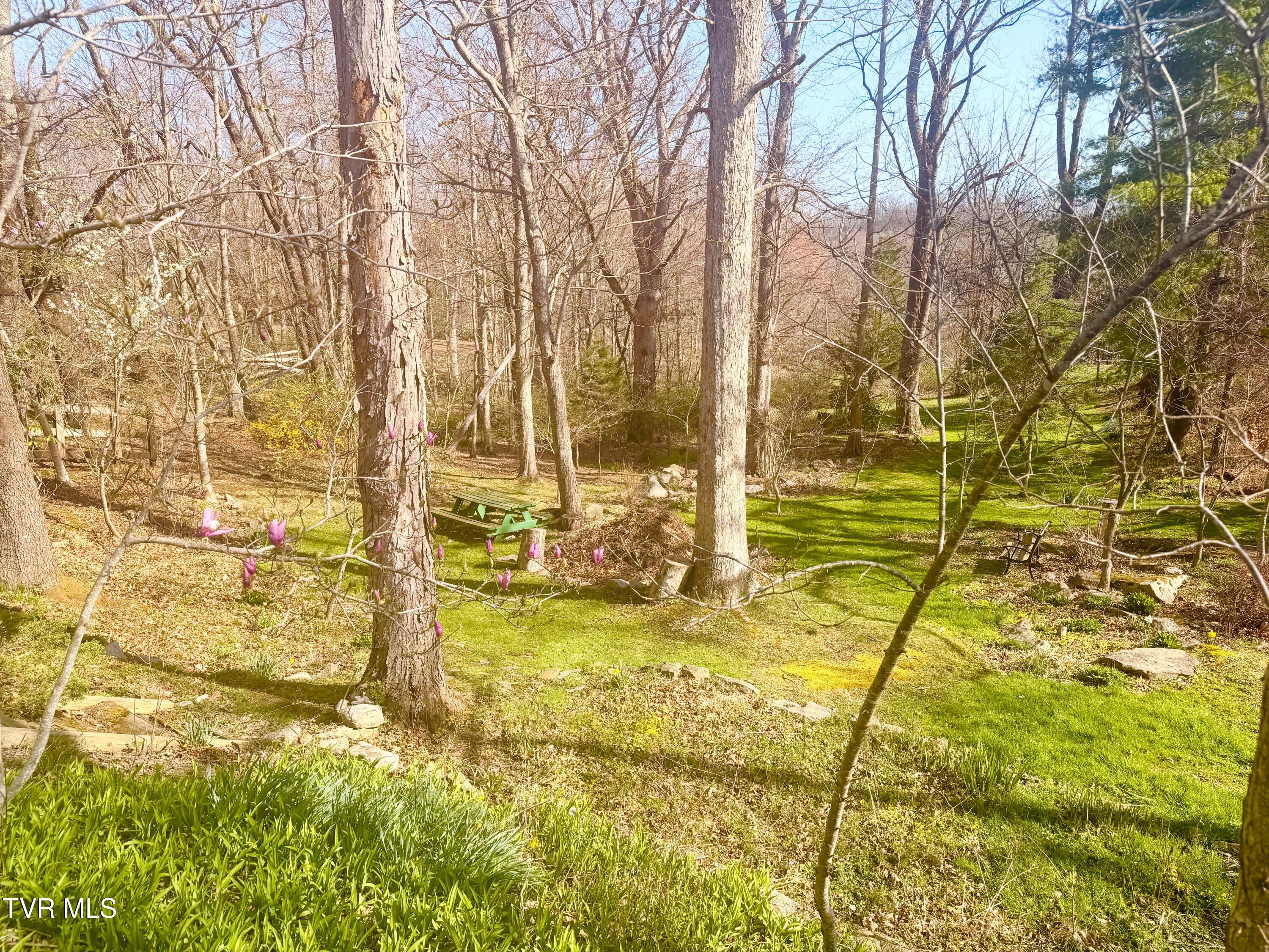 121 Beverly Avenue Southwest Wise, VA 24293 - Photo 42 of 84 IMG_4084