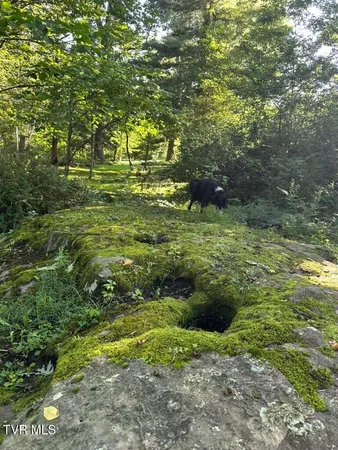 $258,500 | 121 Beverly Avenue Southwest, Wise, VA 24293