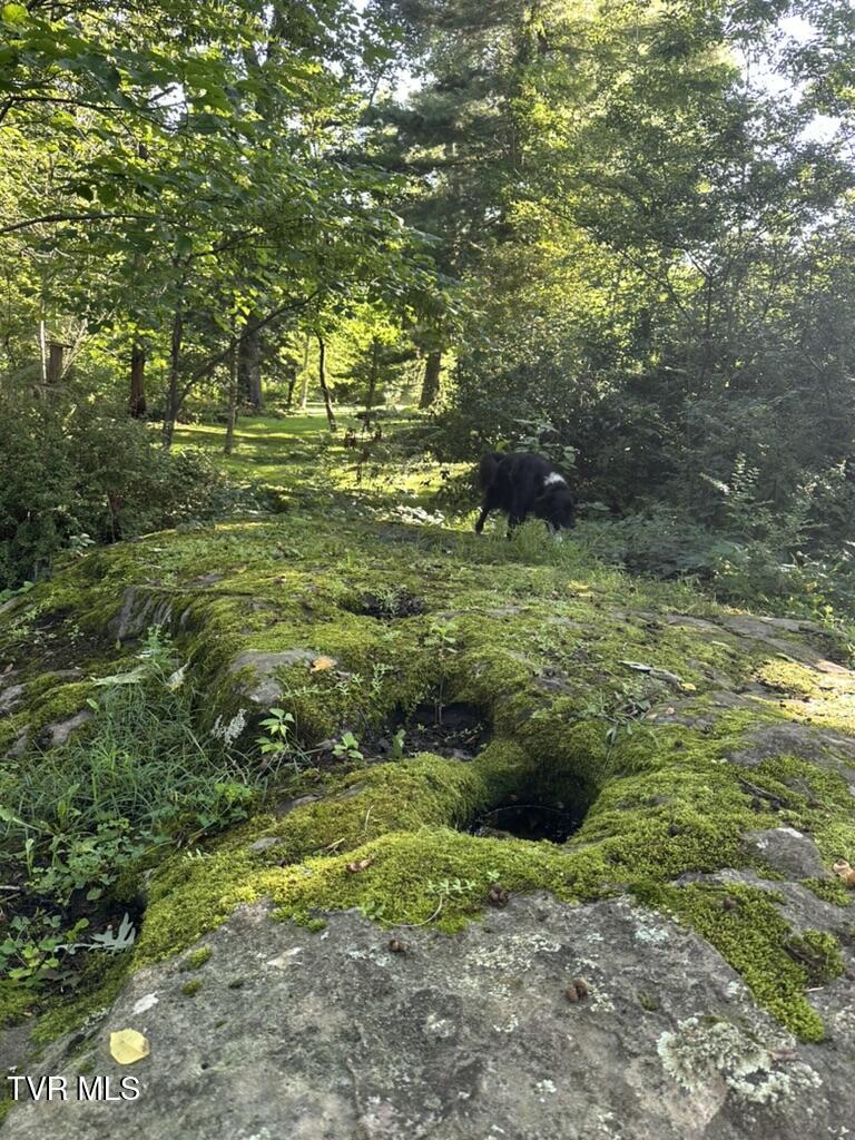 121 Beverly Avenue Southwest Wise, VA 24293 - Photo 44 of 55 property