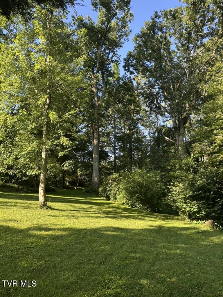 121 Beverly Avenue Southwest Wise, VA 24293 - Photo 45 of 55 yard