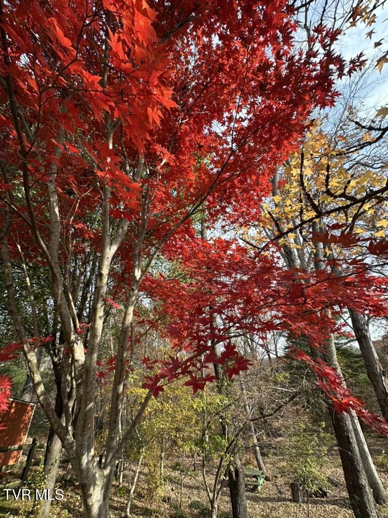 121 Beverly Avenue Southwest Wise, VA 24293 - Photo 47 of 55 IMG_4235