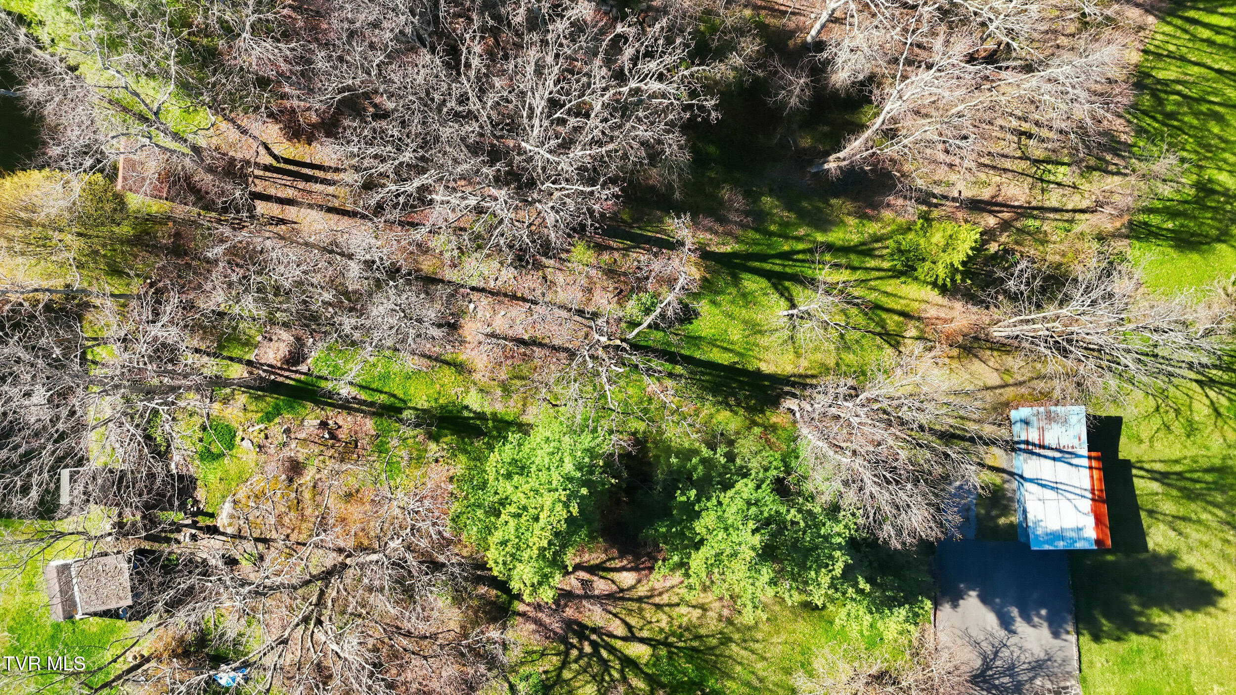 121 Beverly Avenue Southwest Wise, VA 24293 - Photo 54 of 55 IMG_4625