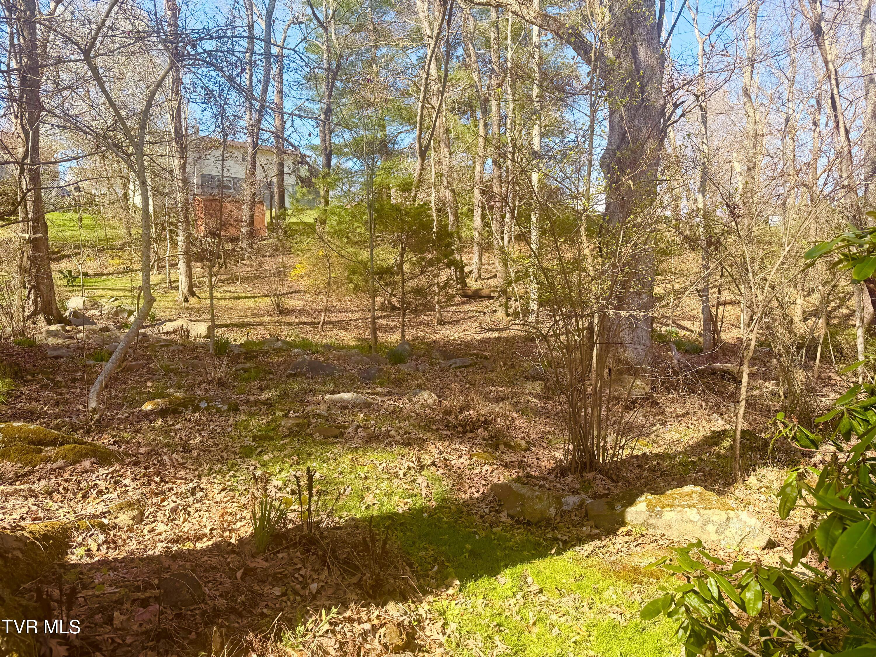 121 Beverly Avenue Southwest Wise, VA 24293 - Photo 54 of 84 IMG_4100