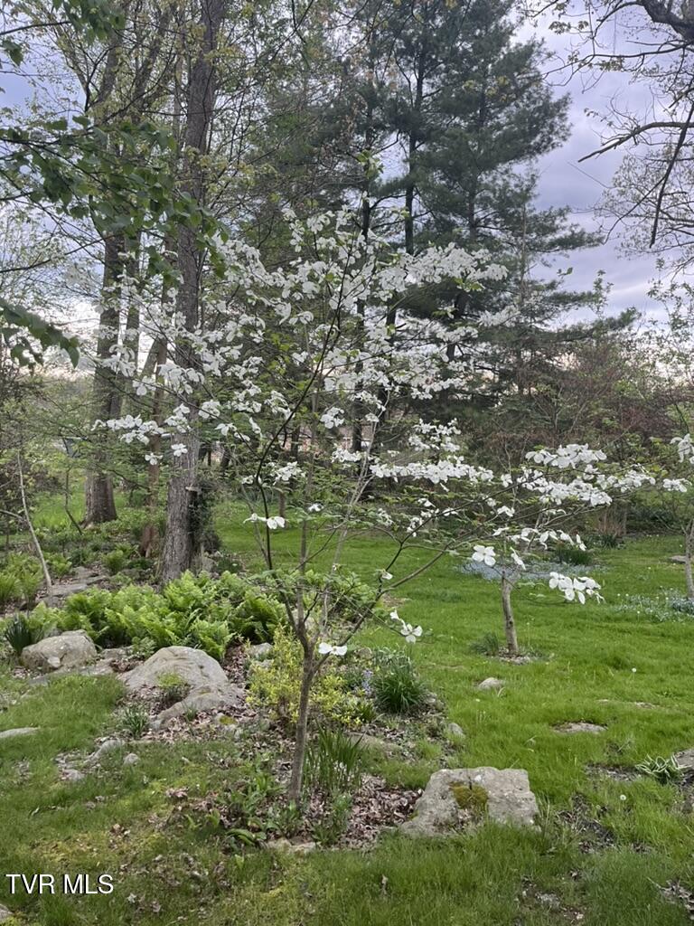 121 Beverly Avenue Southwest Wise, VA 24293 - Photo 61 of 84 IMG_4227