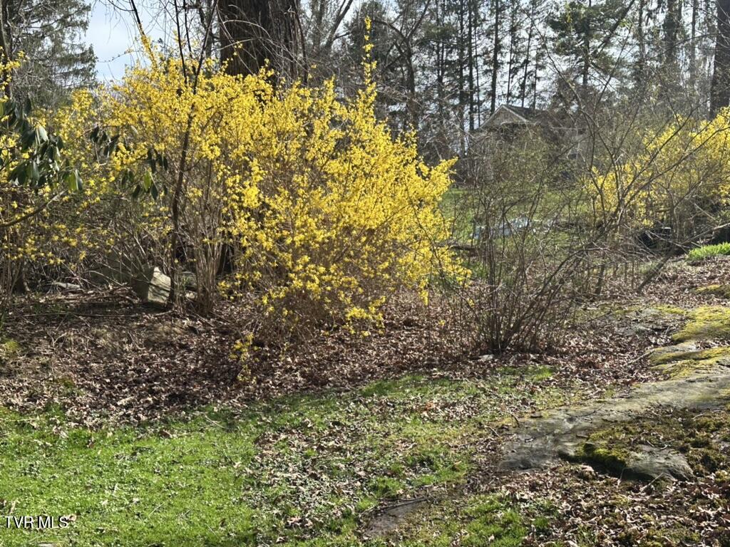 121 Beverly Avenue Southwest Wise, VA 24293 - Photo 62 of 84 IMG_4232