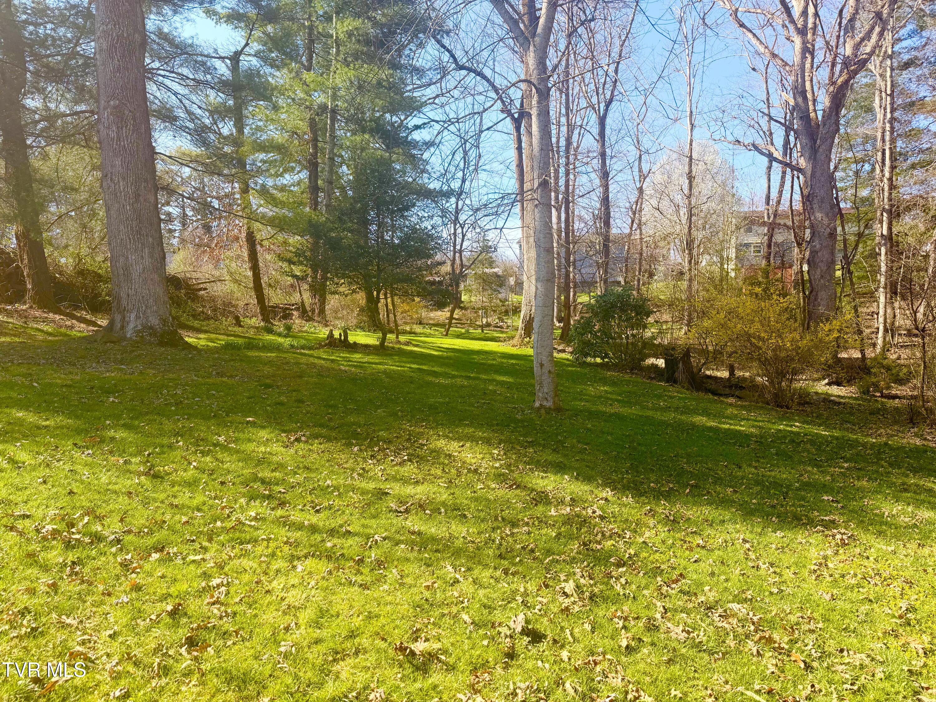 121 Beverly Avenue Southwest Wise, VA 24293 - Photo 66 of 84 IMG_4105