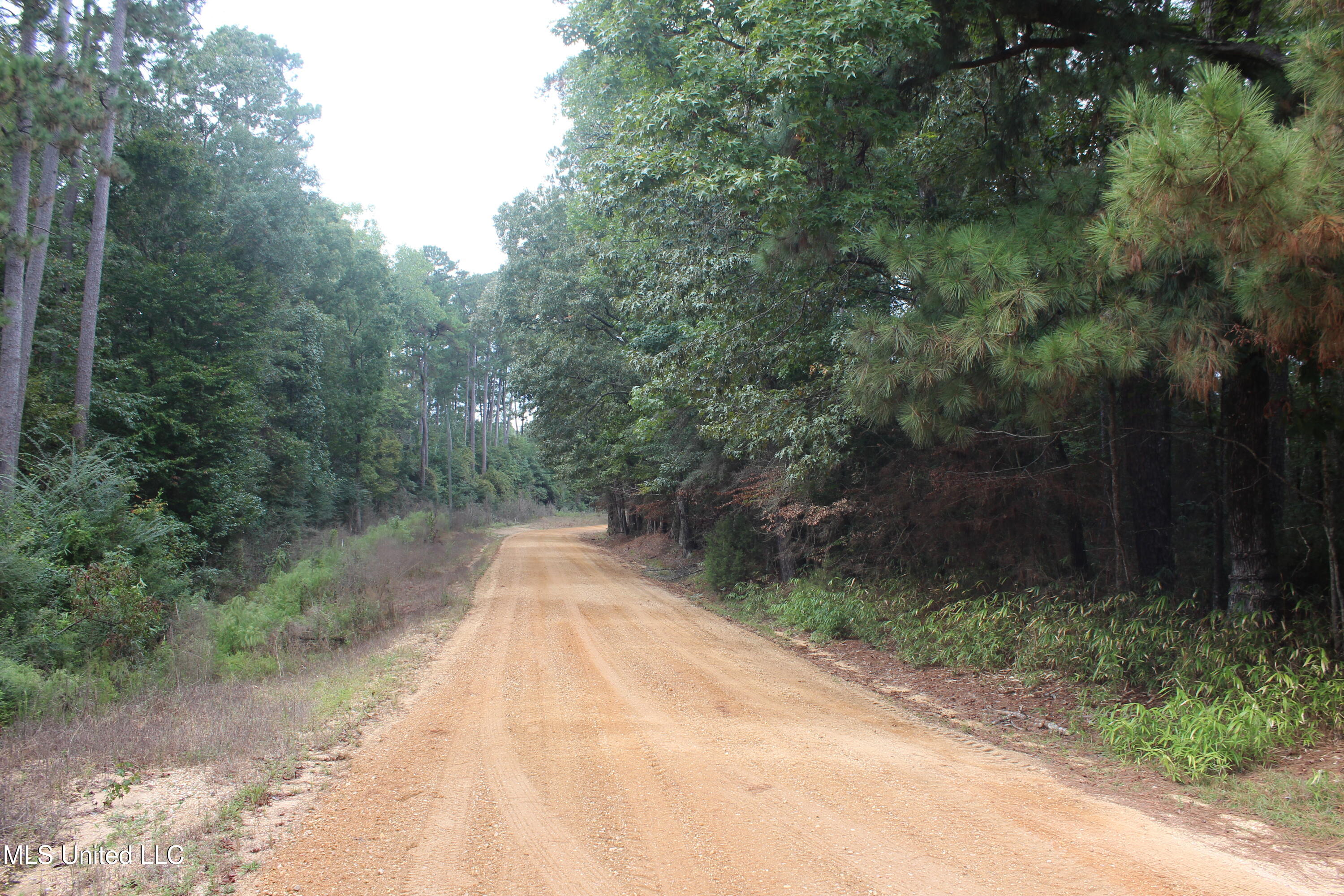 Tbd Fox Road Gloster, MS 39638 - Photo 11 of 20 40 ac New Hope Rd & Fox Rd (1)