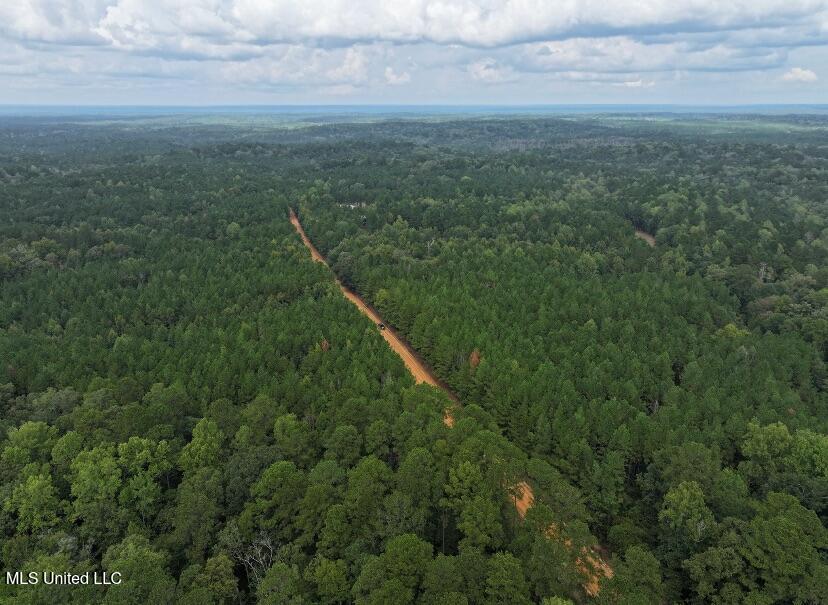 Tbd Fox Road Gloster, MS 39638 - Photo 12 of 20 40 ac New Hope Rd