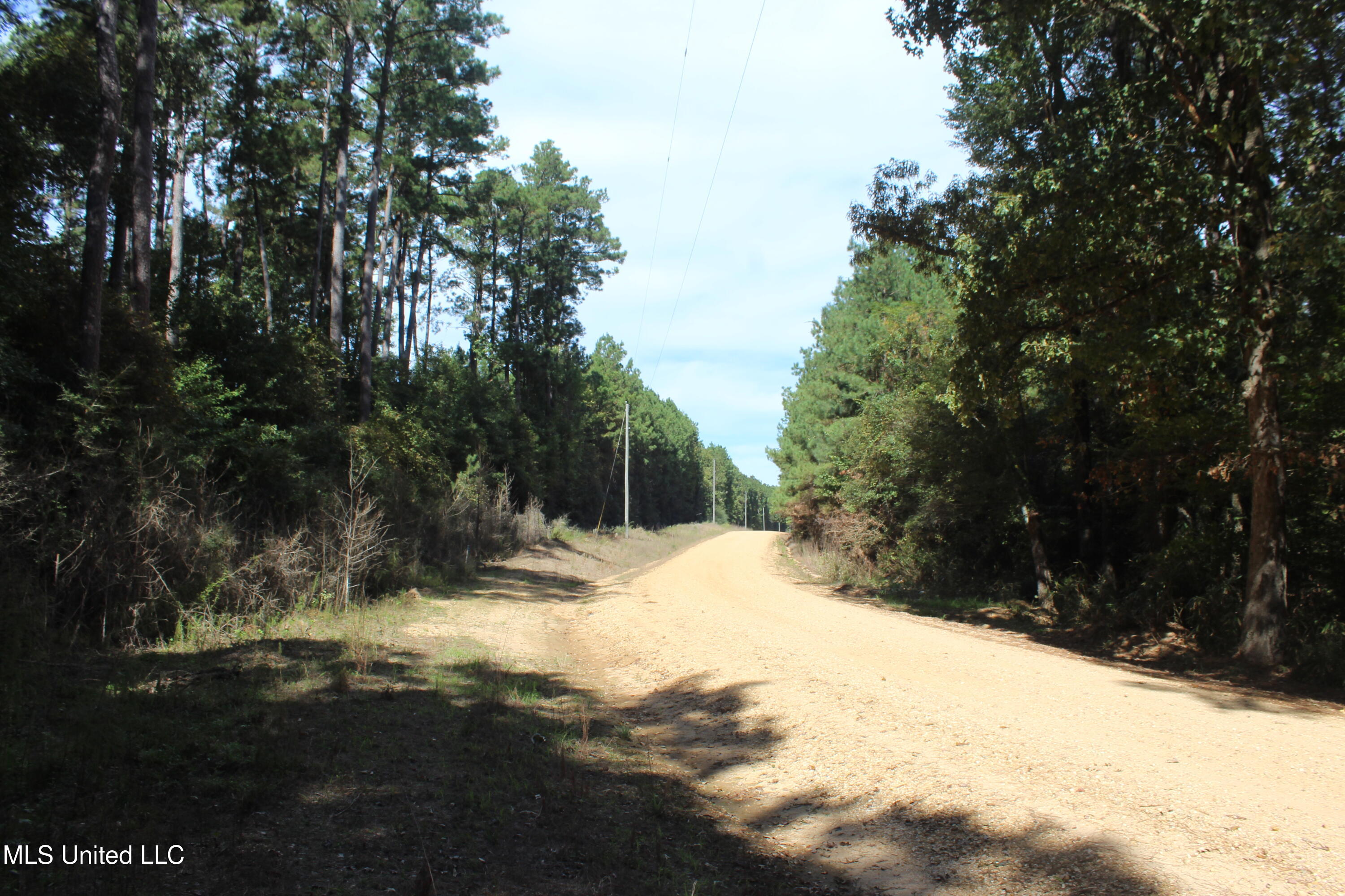 Tbd Fox Road Gloster, MS 39638 - Photo 13 of 20 40 ac Fox Rd Amite County ground photos