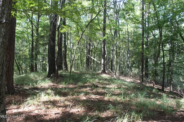 $284,000 | Tbd Fox Road, Gloster, MS 39638
