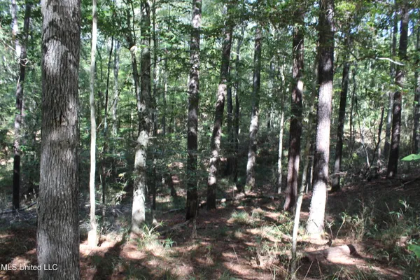 $284,000 | Tbd Fox Road, Gloster, MS 39638