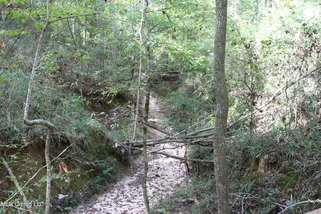 $284,000 | Tbd Fox Road, Gloster, MS 39638