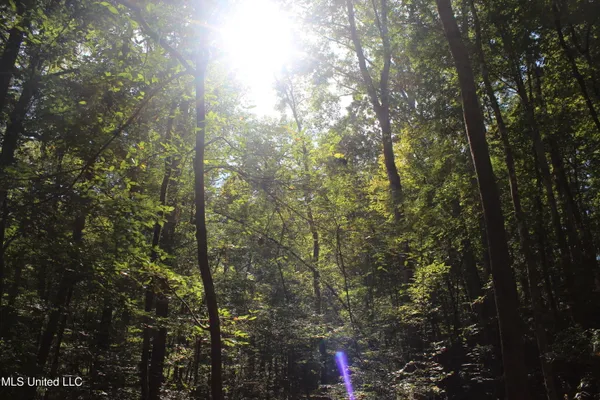 $284,000 | Tbd Fox Road, Gloster, MS 39638