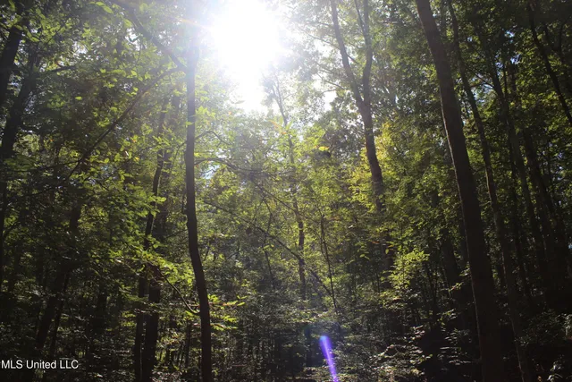 $284,000 | Tbd Fox Road, Gloster, MS 39638