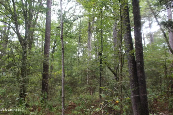 $284,000 | Tbd Fox Road, Gloster, MS 39638