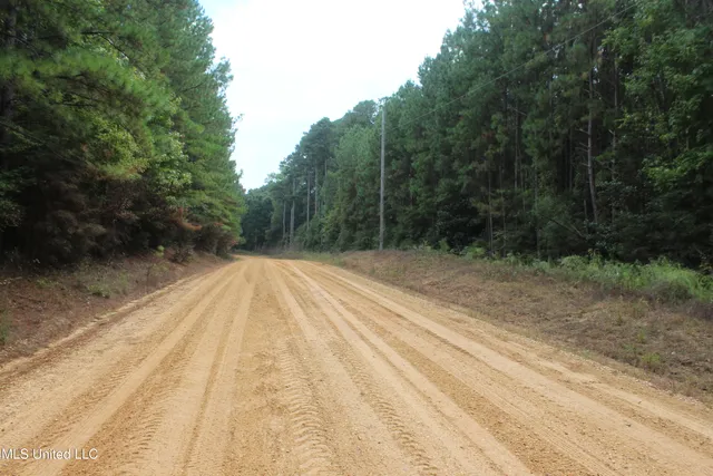 $284,000 | Tbd Fox Road, Gloster, MS 39638