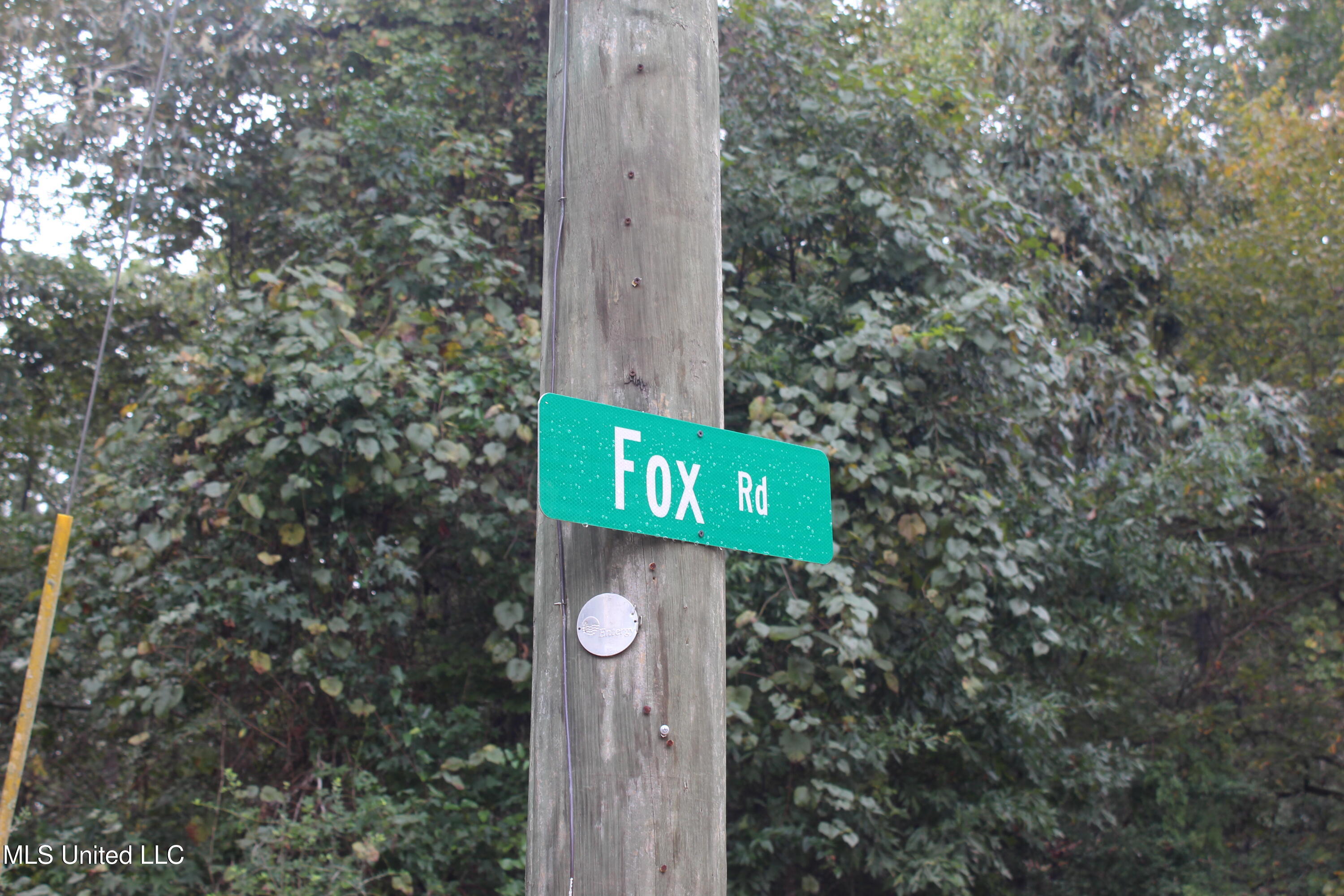 Tbd Fox Road Gloster, MS 39638 - Photo 8 of 20 40 ac New Hope Rd & Fox Rd (12)