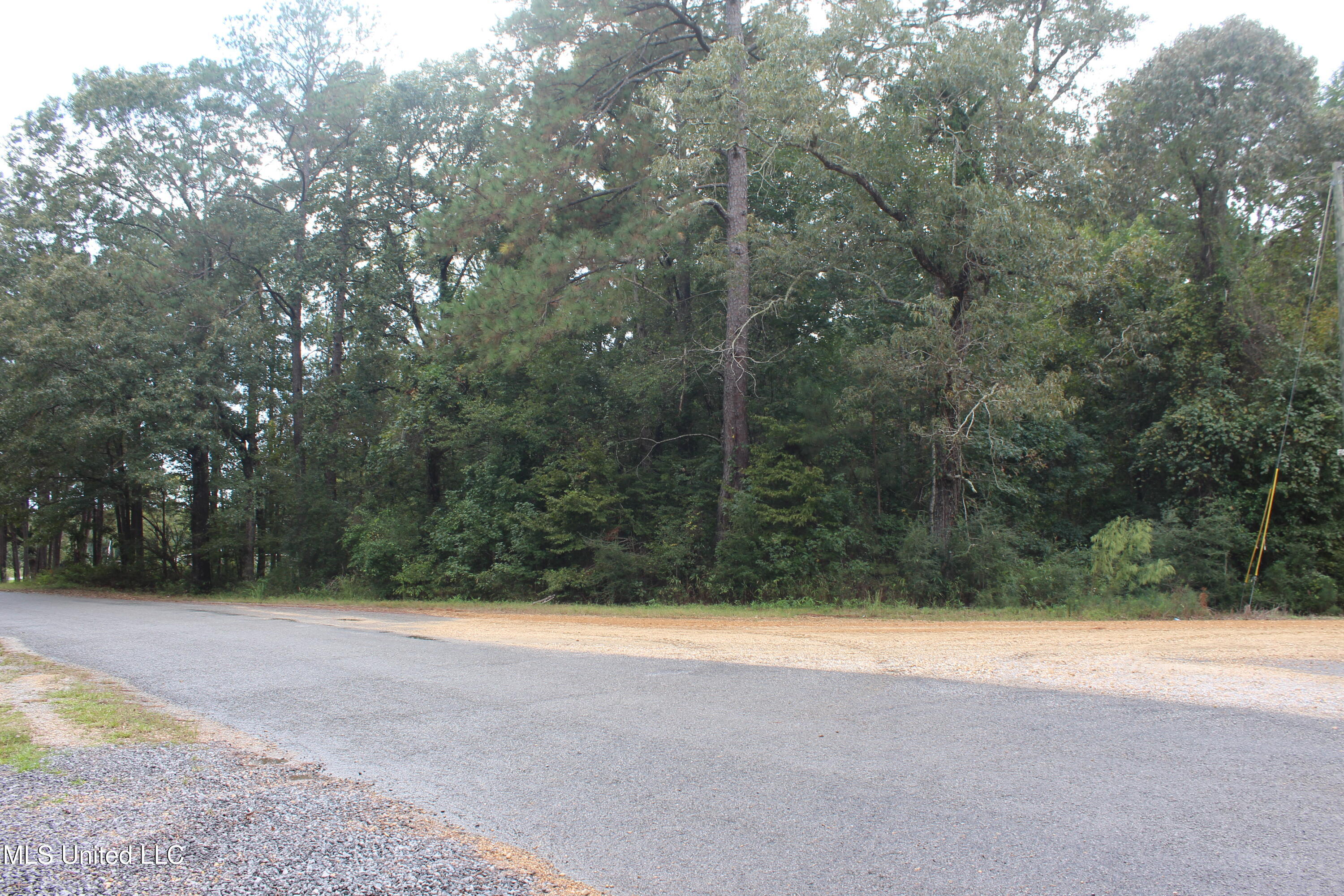 Tbd Fox Road Gloster, MS 39638 - Photo 10 of 20 40 ac New Hope Rd & Fox Rd (10)