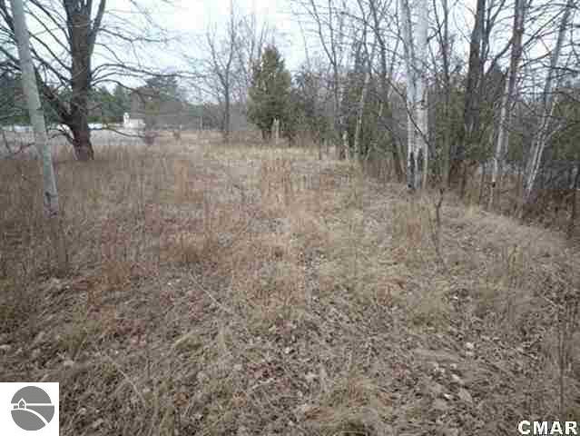 3000 South Meridian Road Mount Pleasant, MI 48858 - Photo 5 of 8 1764820-4.JPG