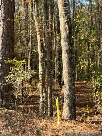 $165,000 | Lot #3 Old Military Road, Adams Run, SC 29426