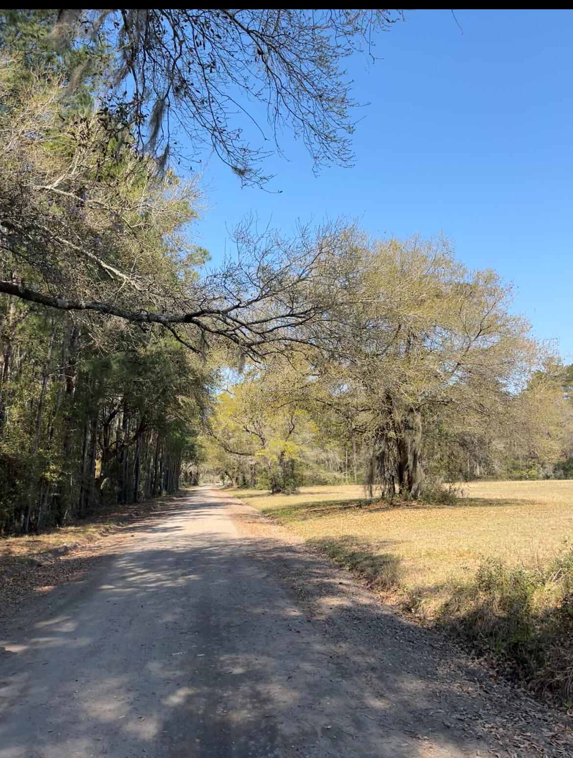 Lot #3 Old Military Road Adams Run, SC 29426 - Photo 3 of 6 6671