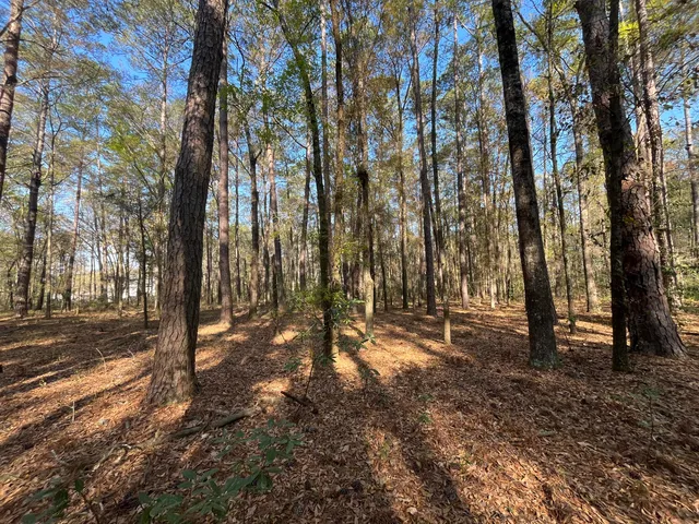 $170,000 | Lot #3 Old Military Road, Adams Run, SC 29426