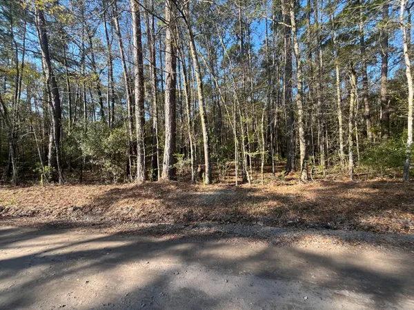 $165,000 | Lot #3 Old Military Road, Adams Run, SC 29426