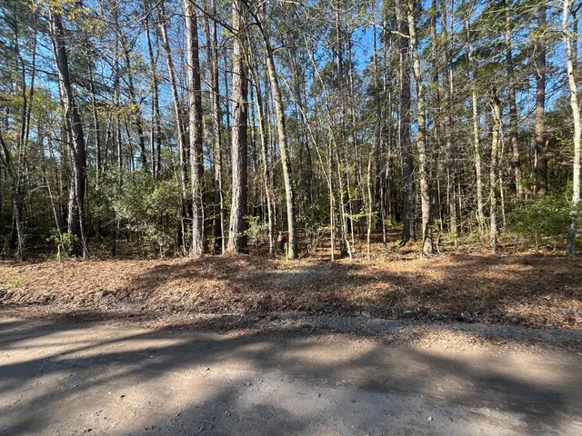 $170,000 | Lot #3 Old Military Road, Adams Run, SC 29426