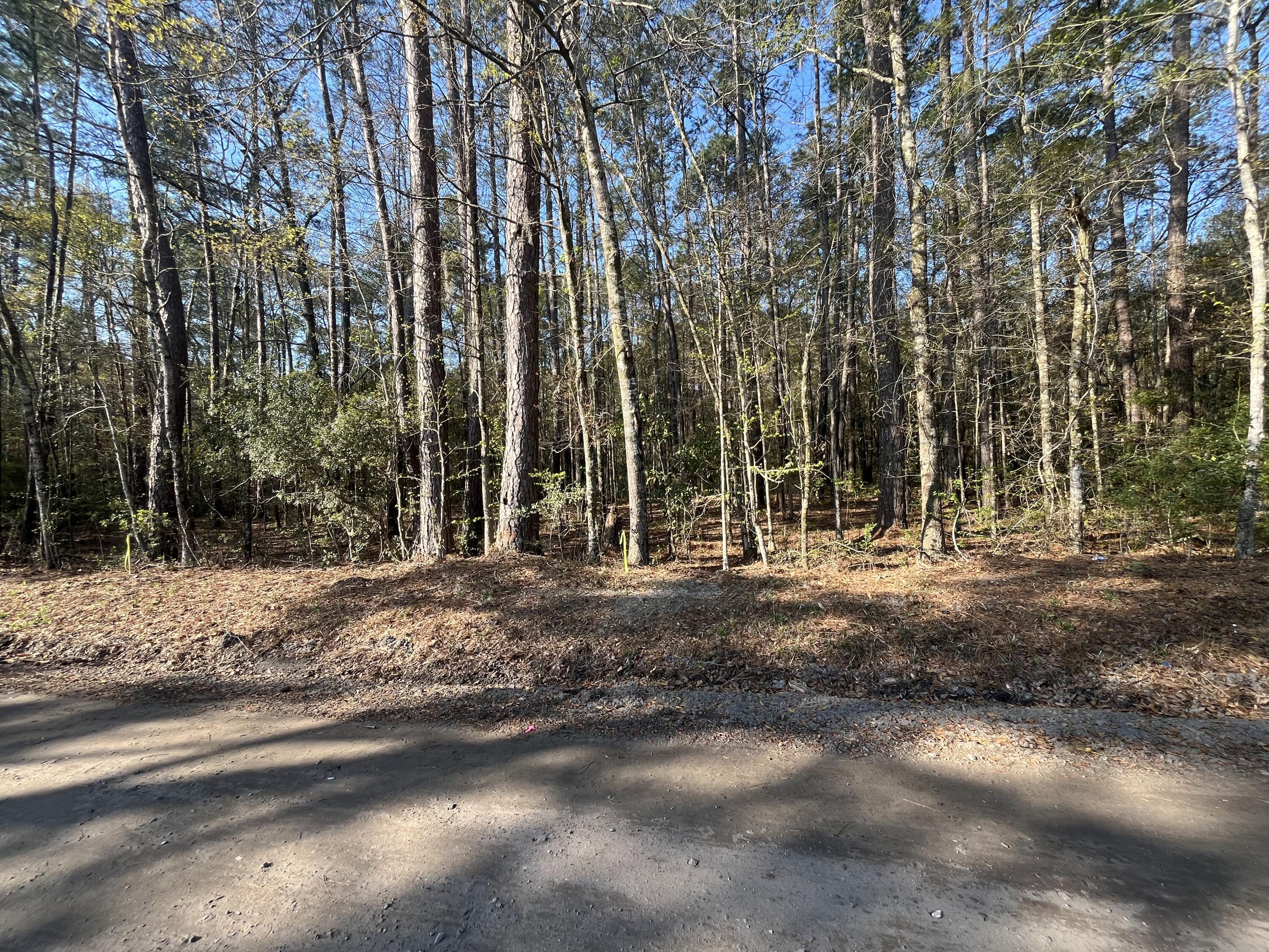 Lot #3 Old Military Road Adams Run, SC 29426 - Photo 6 of 6 IMG_9593