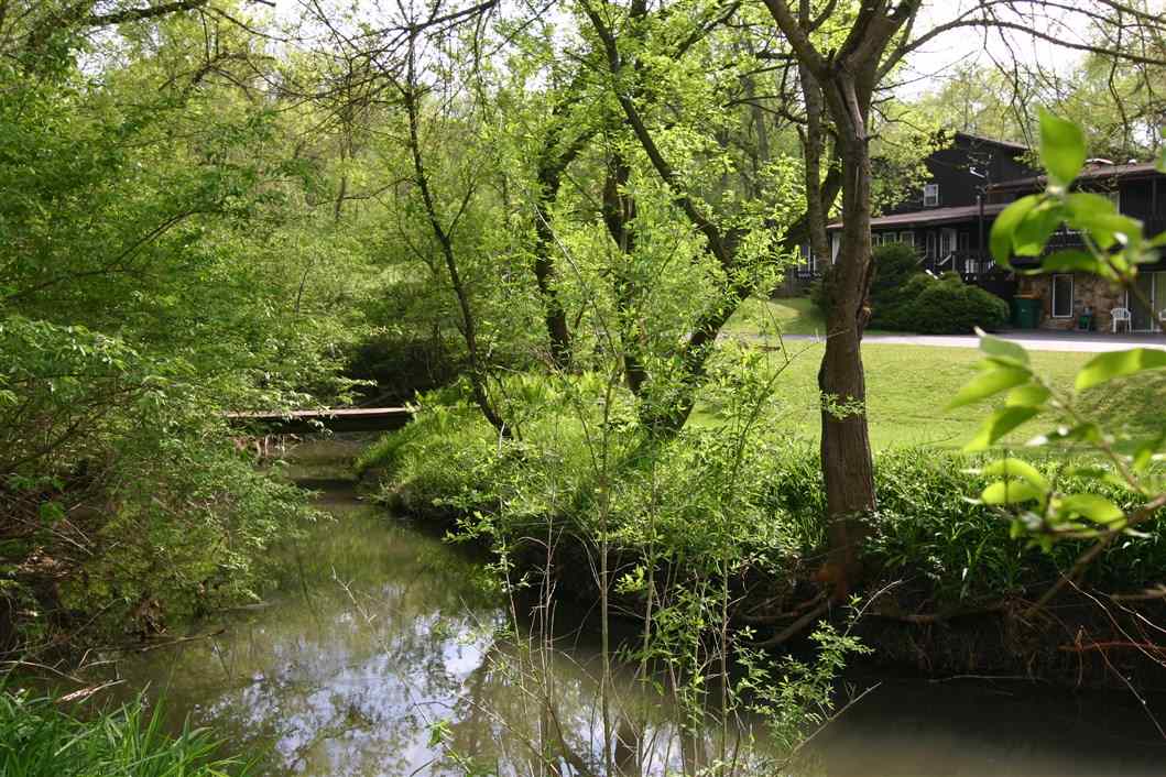 5969 Fitzgerald Road Rockford, IL 61102 - Photo 4 of 25 a view of a garden