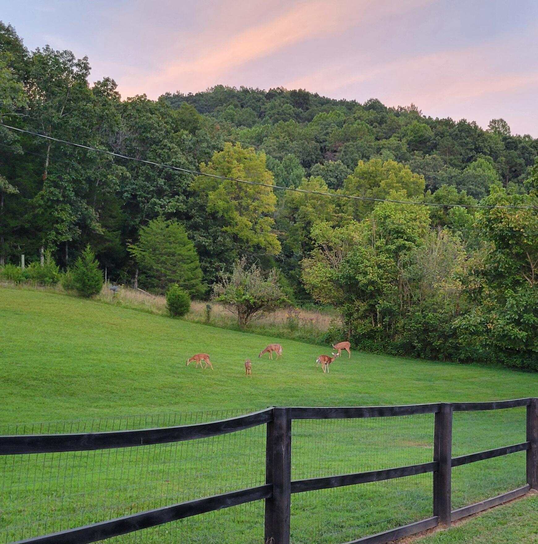 1201 Cherry Grove Road Somerset, KY 42501 - Photo 13 of 40 34