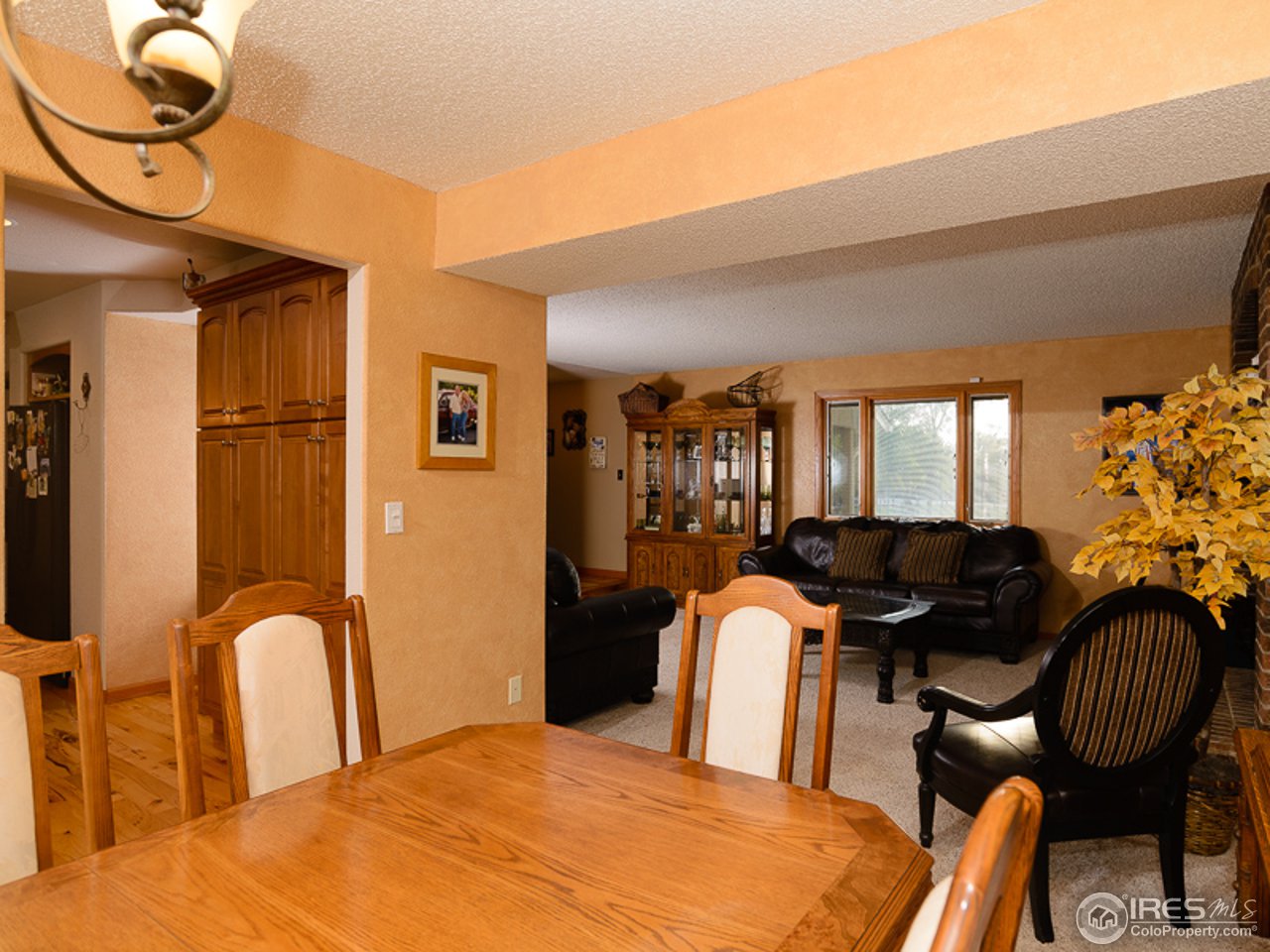 9362 Apache Road Longmont, CO 80504 - Photo 4 of 25 Gallery Image 4