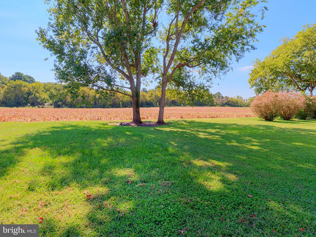 32038 Siham Road Lewes, DE 19958 - Photo 21 of 21 Yard