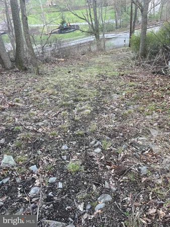 a view of a yard with a tree