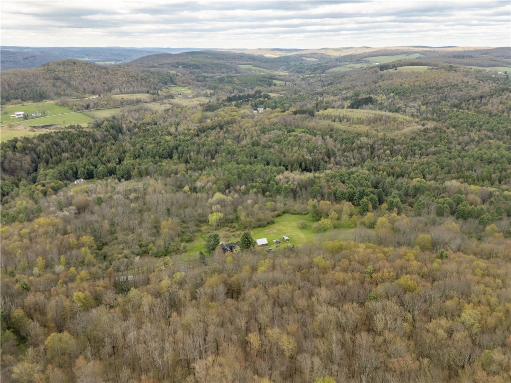 183 Guy Beardsley Road Butternuts, NY 13825 - Photo 12 of 33