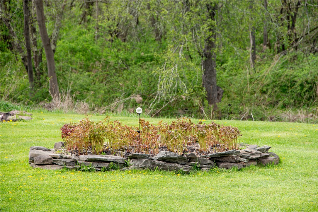 183 Guy Beardsley Road Butternuts, NY 13825 - Photo 9 of 33