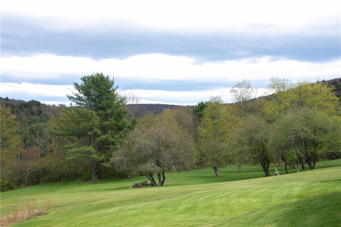 183 Guy Beardsley Road Butternuts, NY 13825 - Photo 10 of 33