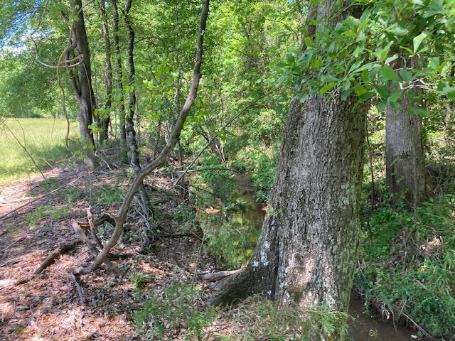 Tbd Dravo Road Blacksburg, SC 29702 - Photo 11 of 12