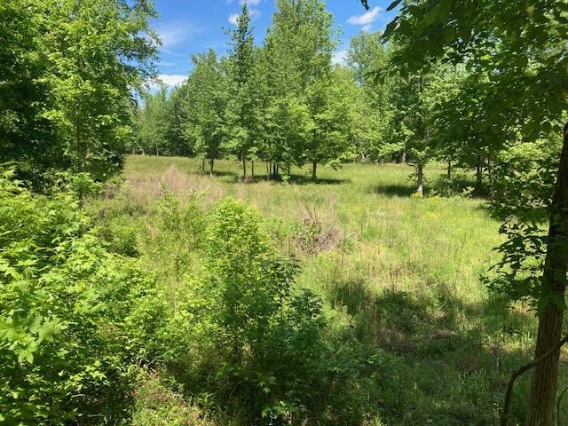 Tbd Dravo Road Blacksburg, SC 29702 - Photo 2 of 12