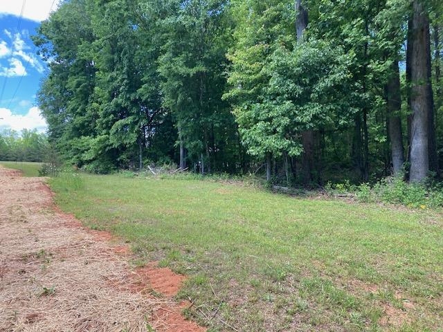 Tbd Dravo Road Blacksburg, SC 29702 - Photo 4 of 12