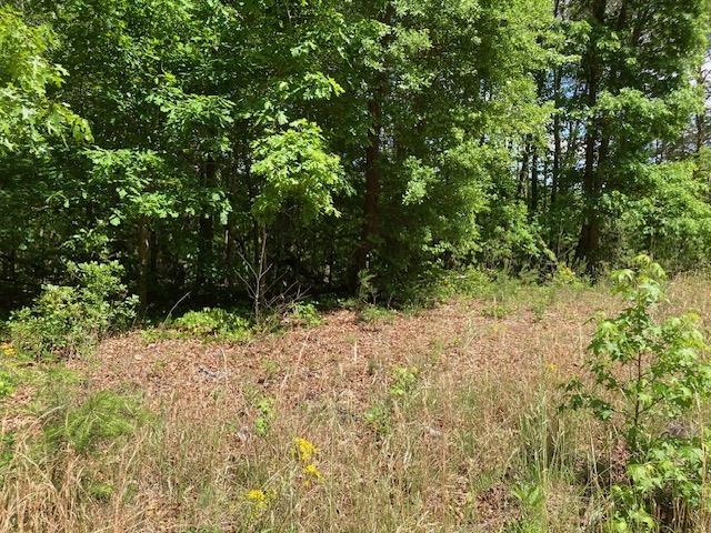 Tbd Dravo Road Blacksburg, SC 29702 - Photo 5 of 12