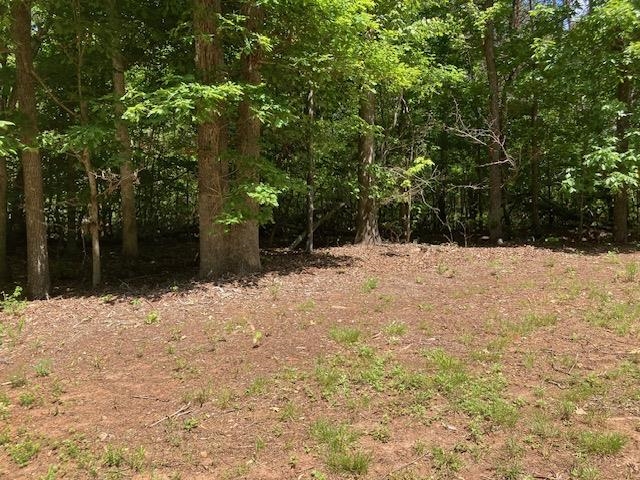 Tbd Dravo Road Blacksburg, SC 29702 - Photo 6 of 12
