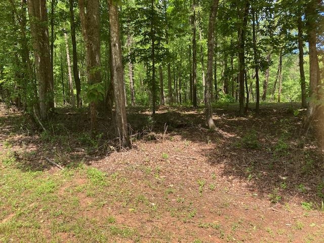 Tbd Dravo Road Blacksburg, SC 29702 - Photo 7 of 12