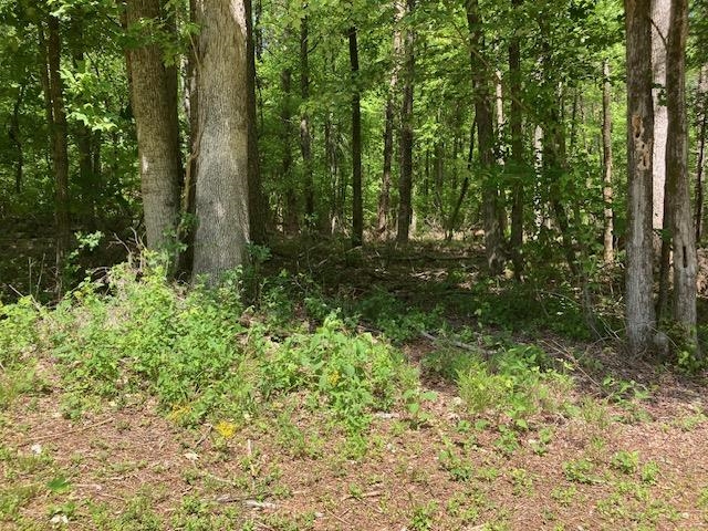 Tbd Dravo Road Blacksburg, SC 29702 - Photo 8 of 12